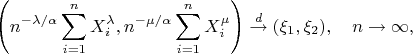 $$\left(n^{-\lambda/\alpha}\sum_{i=1}^n X^\lambda_i,
n^{-\mu/\alpha}\sum_{i=1}^n X^\mu_i\right)\stackrel{d}{\to}(\xi_1,\xi_2),\quad n\to\infty,$$