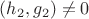 $ (h_{2}, g_{2}) \ne 0$