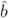 $\hat b$