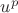 $u^p$