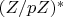 $(Z/pZ)^*$