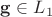 $\mathbf g \in L_1$
