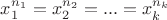 $x_1^{n_1}=x_2^{n_2}=...=x_k^{n_k}$