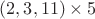 $(2,3,11)\times5$