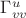 $\Gamma^u_{vv}$