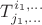 $T^{i_1,\dots}_{j_1,\dots}$