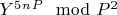 $Y^5^n^P\mod P^2$