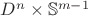 $D^n\times\mathbb{S}^{m-1}$