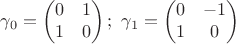 $$\gamma_0 = \begin{pmatrix} 0& 1 \\1 & 0 \end{pmatrix}; \ \gamma_1 = \begin{pmatrix} 0 & -1 \\1 & 0 \end{pmatrix}$$