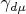 $\gamma_{d \mu}$