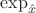 $\exp_{\hat x}$