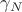 $\gamma_N$ $\gamma_N$
