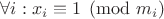 $\forall i: x_i \equiv 1 \pmod{m_i}$