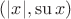 $(|x|, \operatorname{su}x)$