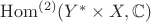 $\mathrm{Hom}^{(2)}(Y^*\times X, \mathbb{C})$