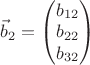 $\vec b_2=\begin{pmatrix}b_{12}\\ b_{22}\\ b_{32}\end{pmatrix}$