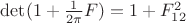 $\det(1+\frac 1{2\pi}F)=1+F_{12}^2$