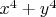$x^{4} + y^{4}$