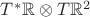 $T^* \mathbb{R} \otimes T\mathbb{R}^2$
