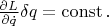 $\frac{\partial L}{\partial\dot{q}}\delta q=\operatorname{const}.$