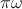 $\pi\omega$