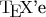 \TeX'e