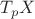 $T_{p}X$