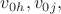 $v_{0h},v_{0j},$ $v_{0h},v_{0j},$