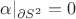 $\alpha|_{\partial{S^2}} = 0$