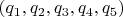 $(q_1,q_2,q_3,q_4,q_5)$