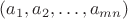 $(a_1, a_2, \ldots ,a_{mn})$