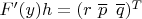 $F'(y)h=(r\,\,\overline{p}\,\,\,\overline{q})^T$