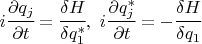 $i\cfrac{\partial q_j}{\partial t}=\cfrac{\delta H}{\delta q_1^*},\,\,i\cfrac{\partial q_j^*}{\partial t}=-\cfrac{\delta H}{\delta q_1}$