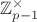 $\mathbb{Z}_{p-1}^\times$