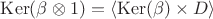 $\operatorname{Ker}(\beta\otimes 1) = \left\langle \operatorname{Ker}(\beta) \times D \right\rangle$