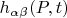 $h_{\alpha \beta}(P,t)$
