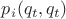$p_i(q_t,q_t)$