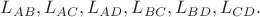 $L_{AB},L_{AC},L_{AD},L_{BC},L_{BD},L_{CD}.$