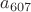$a_{607}$