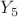 $Y_5$