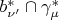 $b^{*}_{\nu'} \cap \gamma^{*}_{\mu}$