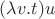$(\lambda v.t)u$