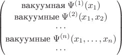 $$\begin{pmatrix}
\text{вакуумная}\;\Psi^{(1)}(x_1) \\
\text{вакуумные}\;\Psi^{(2)}(x_1,x_2) \\
\cdots\\
\text{вакуумные}\;\Psi^{(n)}(x_1,\dots,x_n) \\
\cdots\\
\end{pmatrix}
$$