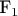 F_1