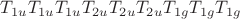 $T_{1u} T_{1u} T_{1u} T_{2u} T_{2u} T_{2u} T_{1g} T_{1g} T_{1g}$