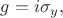 $g=i\sigma_y,$