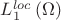 $L_1^{loc}\left( \Omega \right)$