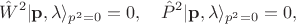 $$
\hat {W}^{2}|\mathbf {p}, \lambda \rangle_{p^{2} = 0} = 0, \quad \hat {P}^{2}|\mathbf {p}, \lambda \rangle_{p^{2} = 0} = 0,
$$