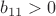 $b_{11}>0$