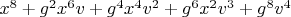 $x^8+g^2 x^6 v+g^4 x^4 v^2+g^6 x^2 v^3+g^8 v^4$
